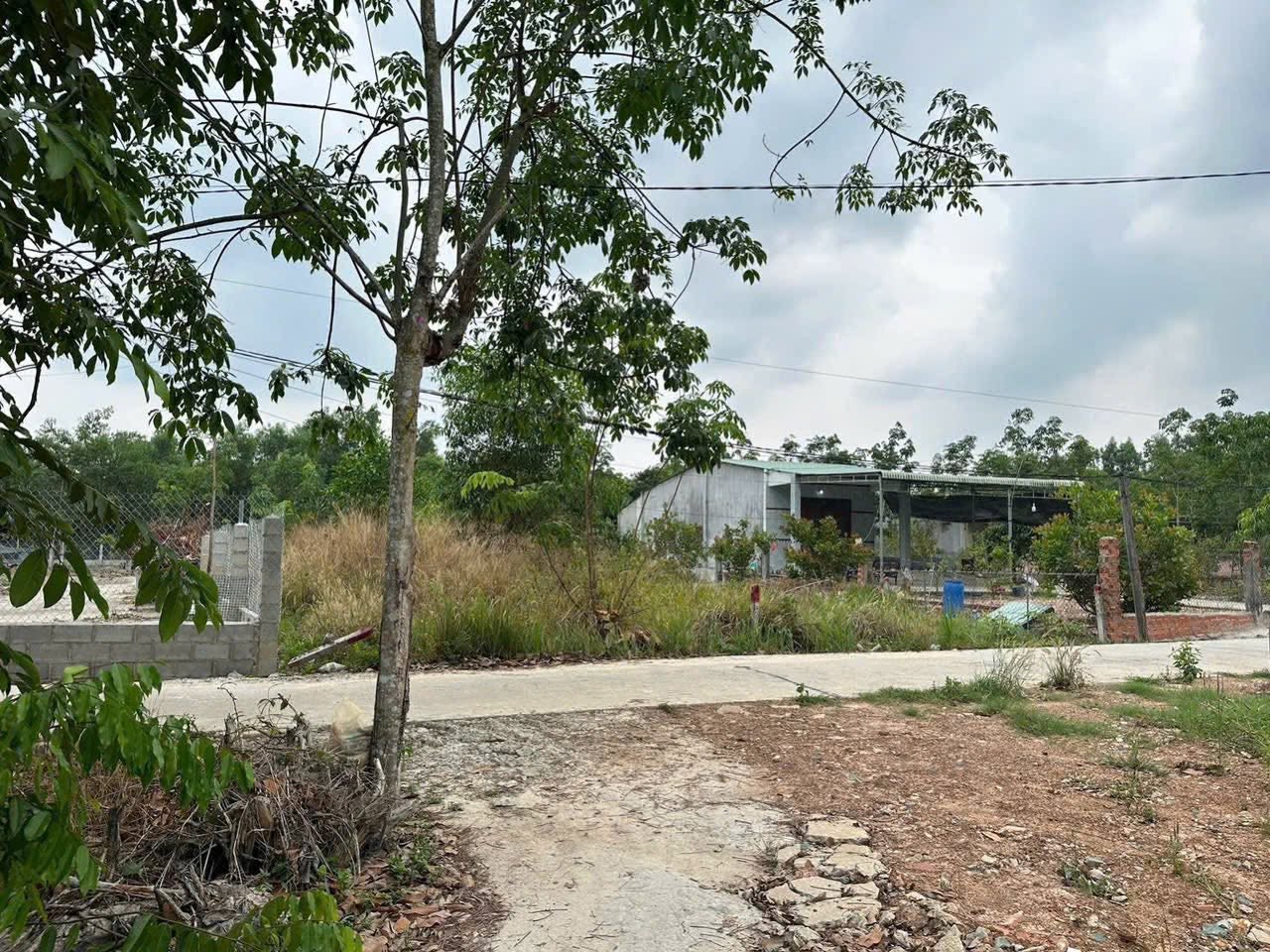 Bán Gấp 3.200m2 Thổ Cư Giá Ngộp, Shr, Sát Kcn, Chợ Hiện Hữu