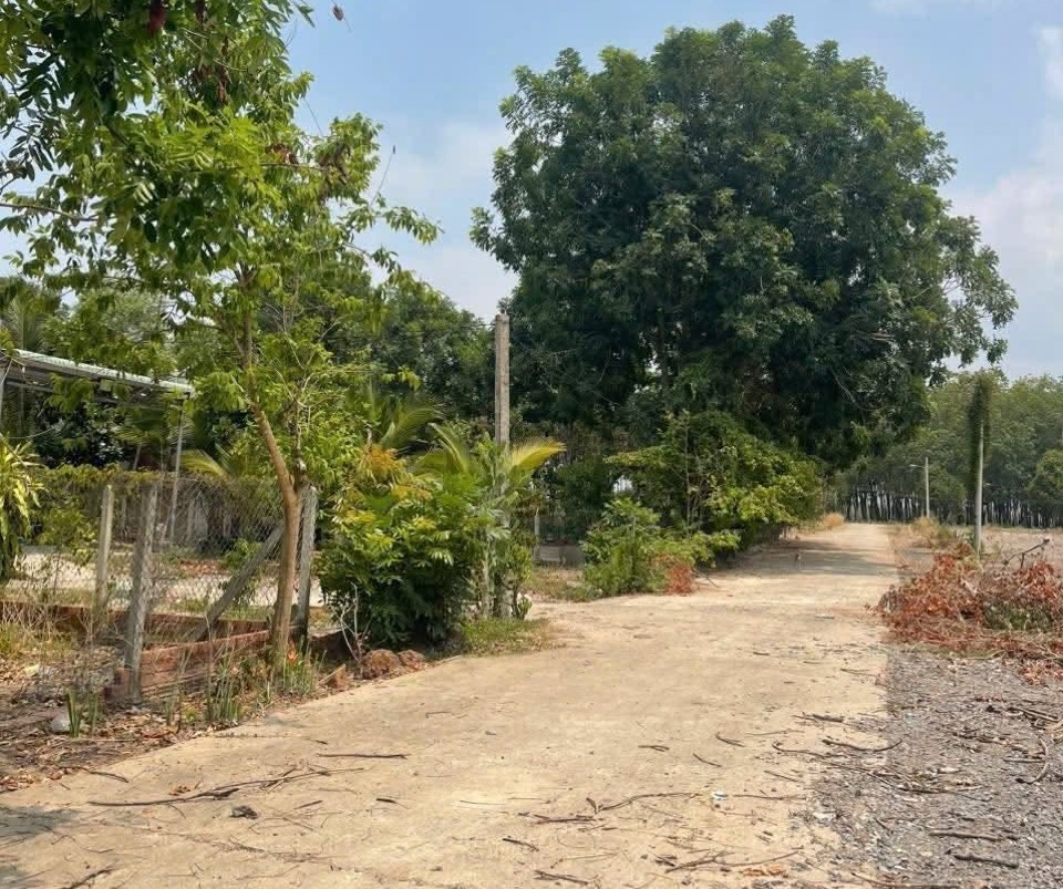 Bán đất xây trọ KCN Minh Hưng Chơn Thành giá rẻ