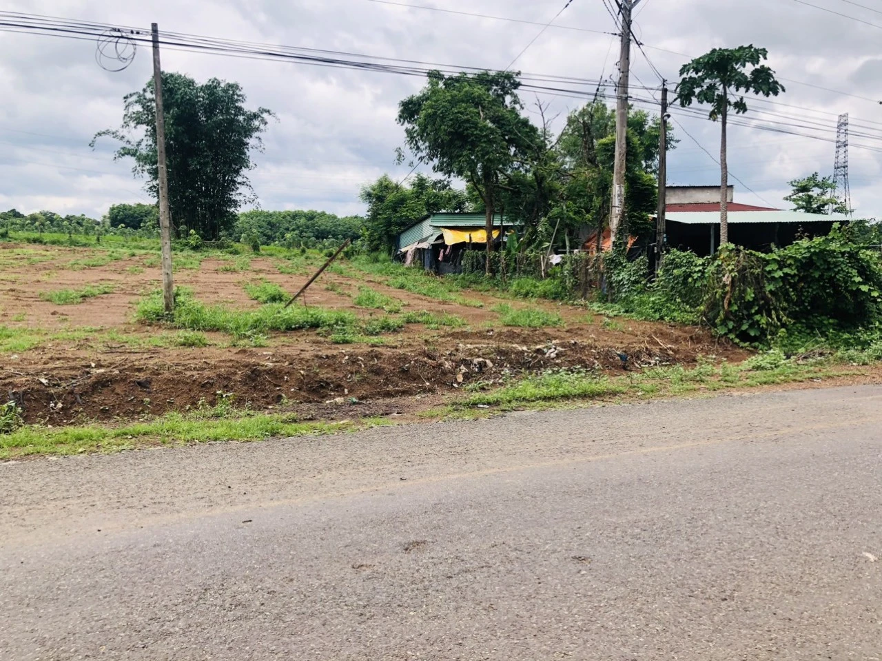 Cần bán đất đường vành đai Becamex sát bên C.Ty thức ăn CP