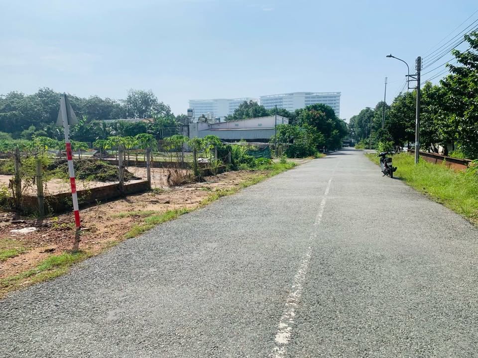Bán 1.000m2 giá 250 triệu, lô đất mặt tiền sát nhựa 42m