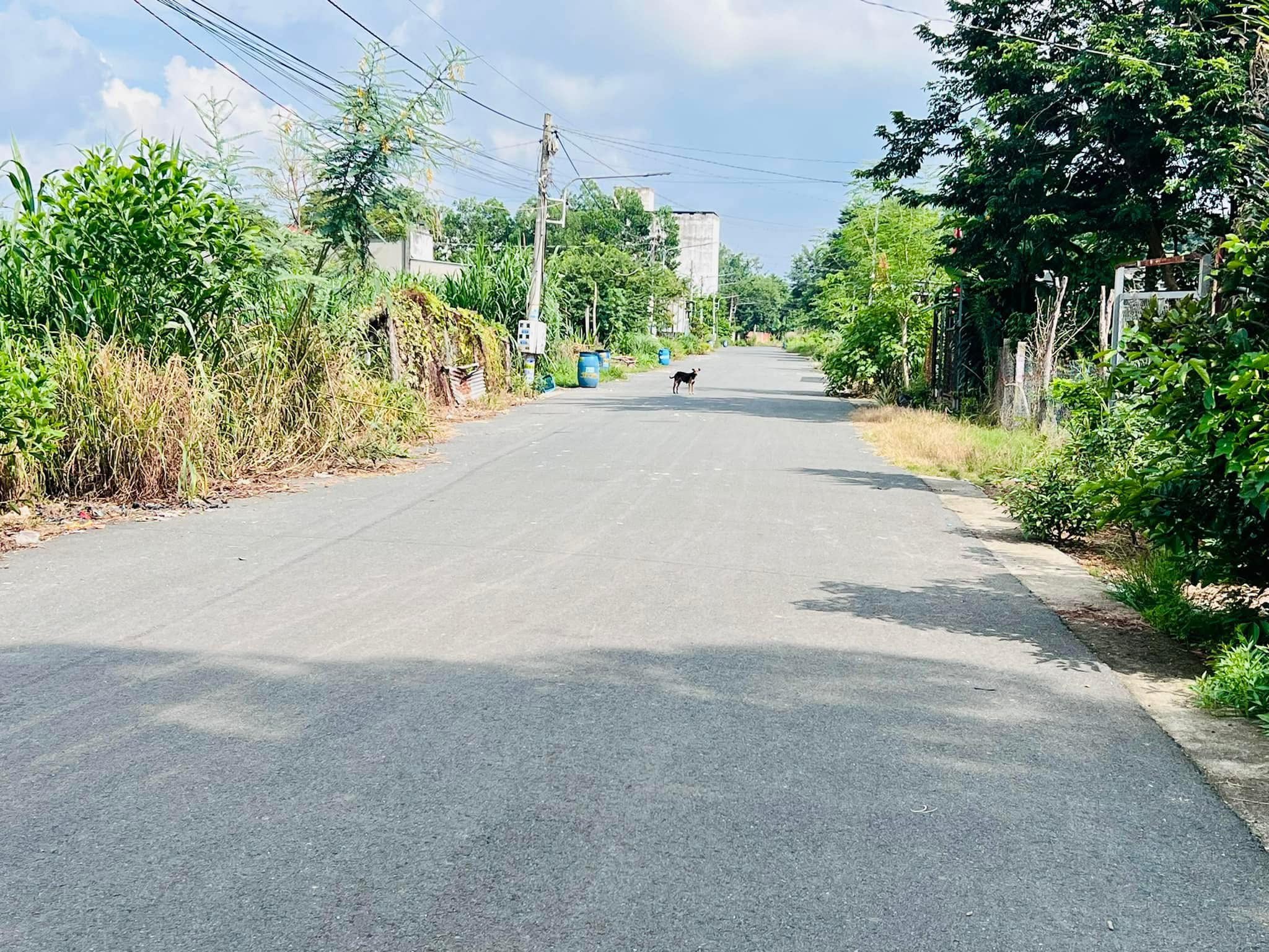 Bán đất Mt Nhựa Chơn Thành, Gần Becamex,Chợ Trường, Dân Đông