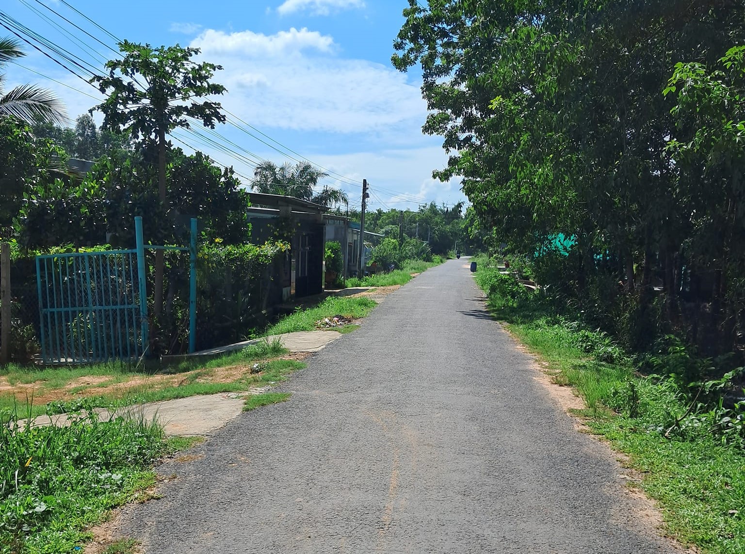 Bán đất Tân Phong Tân Biên Tây Ninh giá rẻ, chính chủ.