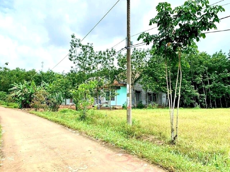 Gia đình cần bán gấp miếng đất gần Chợ và Uỷ Ban 1.500m2 giá 300 triệu