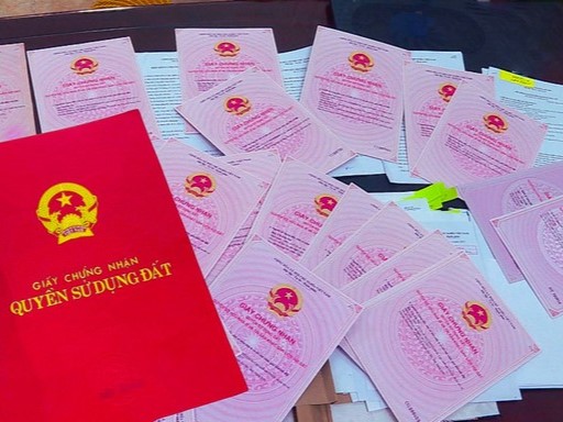 Thông tin mới về việc cấp sổ đỏ cho đất không có giấy tờ