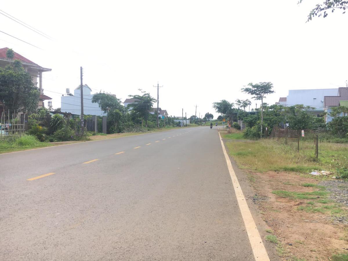 Bán đất sào Tân Hòa huyện Đồng Phú, shr sang tên ngay
