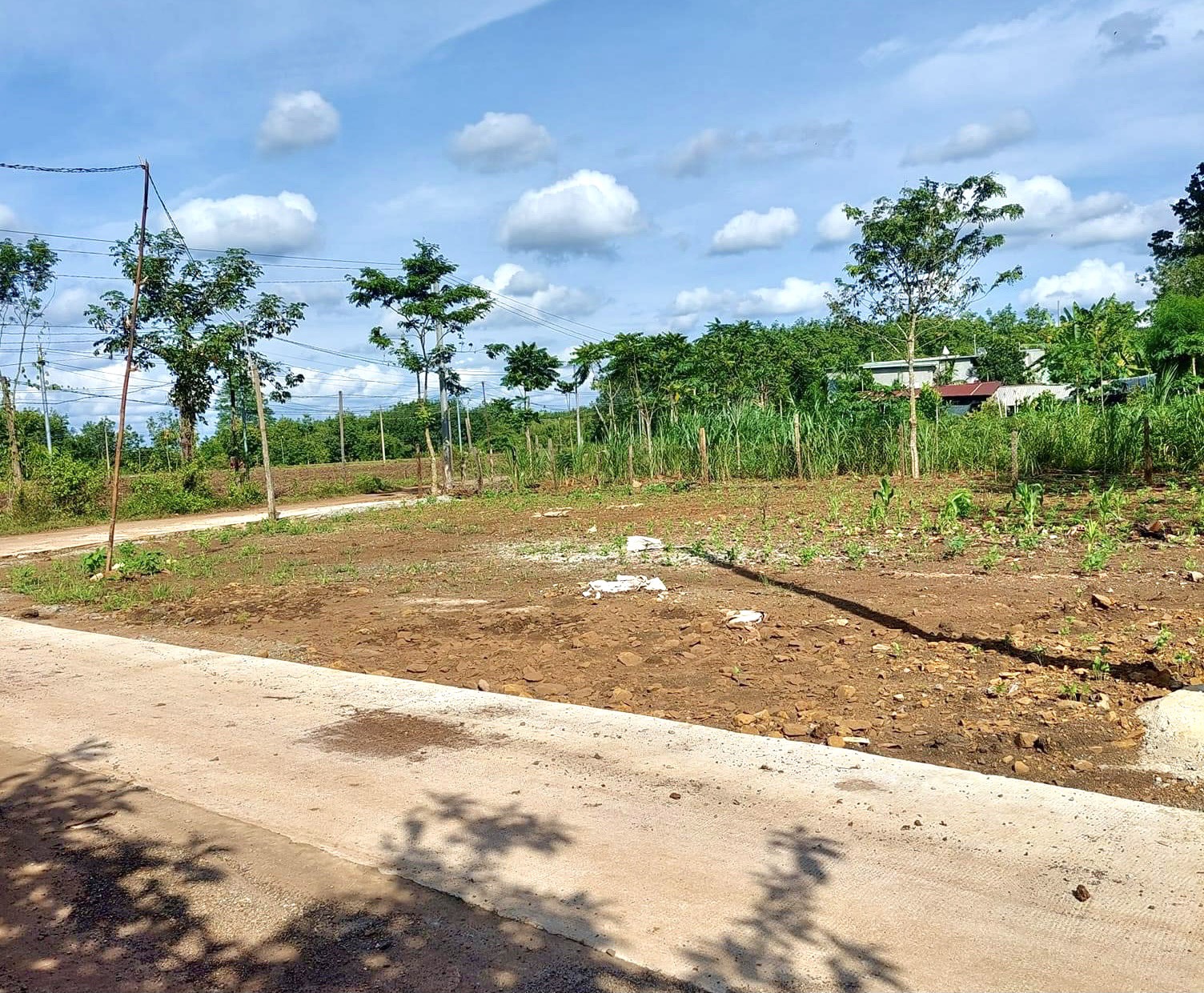 Bán 3 Sổ Đất 3.650m2 Giá 295 Triệu Mặt Tiền Tỉnh Lộ Rộng