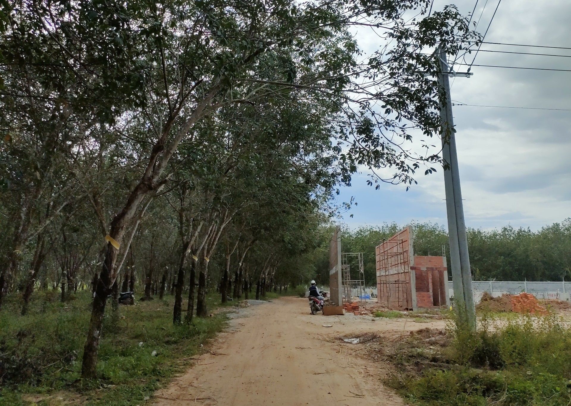 Bán đất Thạnh Bình Tân Biên Tây Ninh đường ĐT.783.
