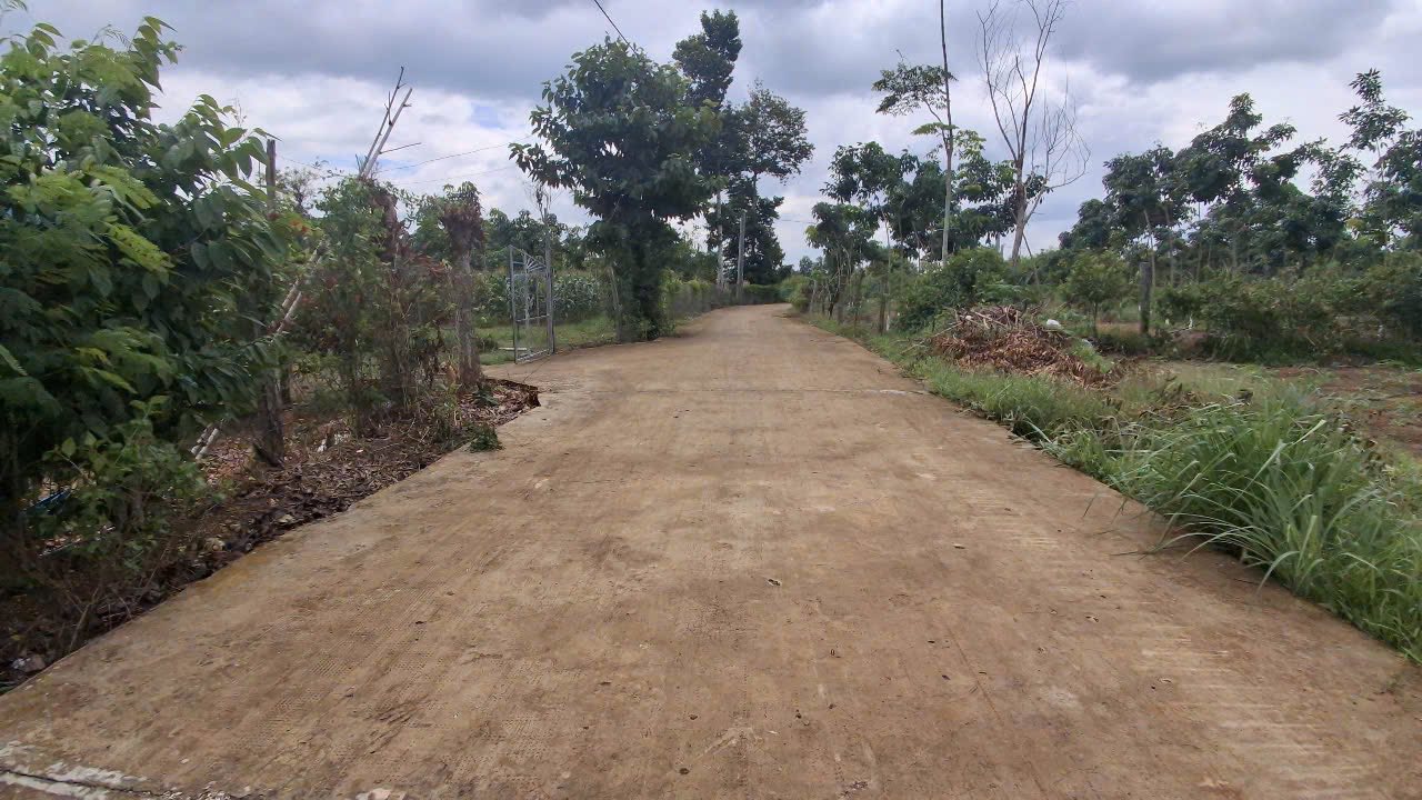Bán đất thị xã bình long sổ riêng 2.100m2 giá 195tr