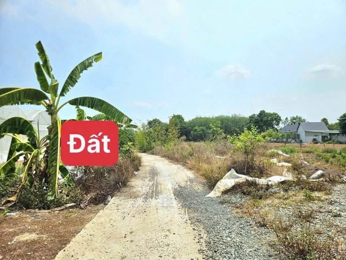 Bán đất Bình Phước để xây nhà ở giá rẻ