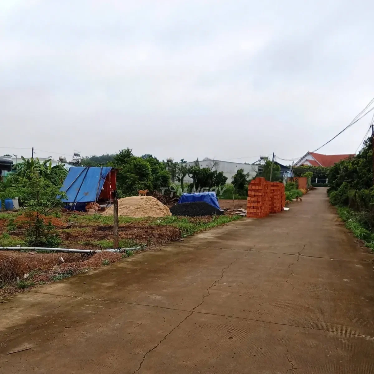 Đất Phường An Lộc 2.300m2 ngộp nặng giá chỉ 165 triệu, sổ sẵn, công chứng ngay
