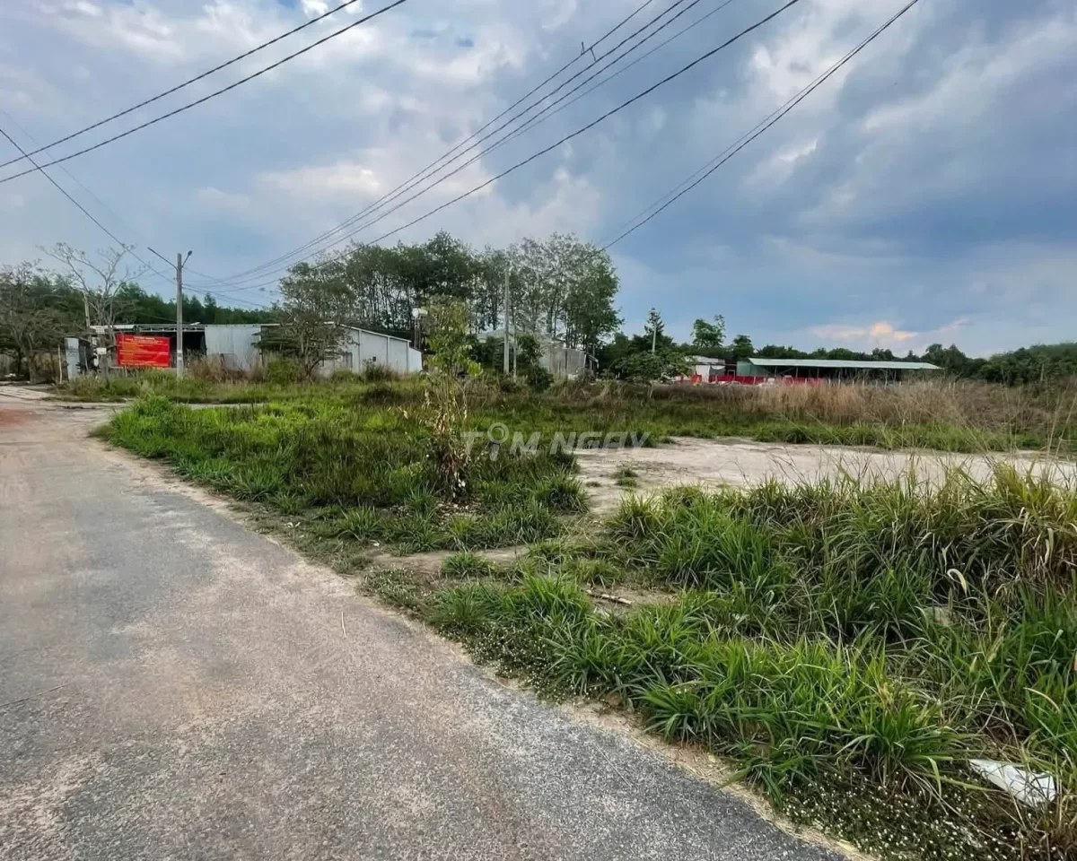 Đất vườn Bình Phước 2.450m² giá 305 triệu, thích hợp làm nhà vườn
