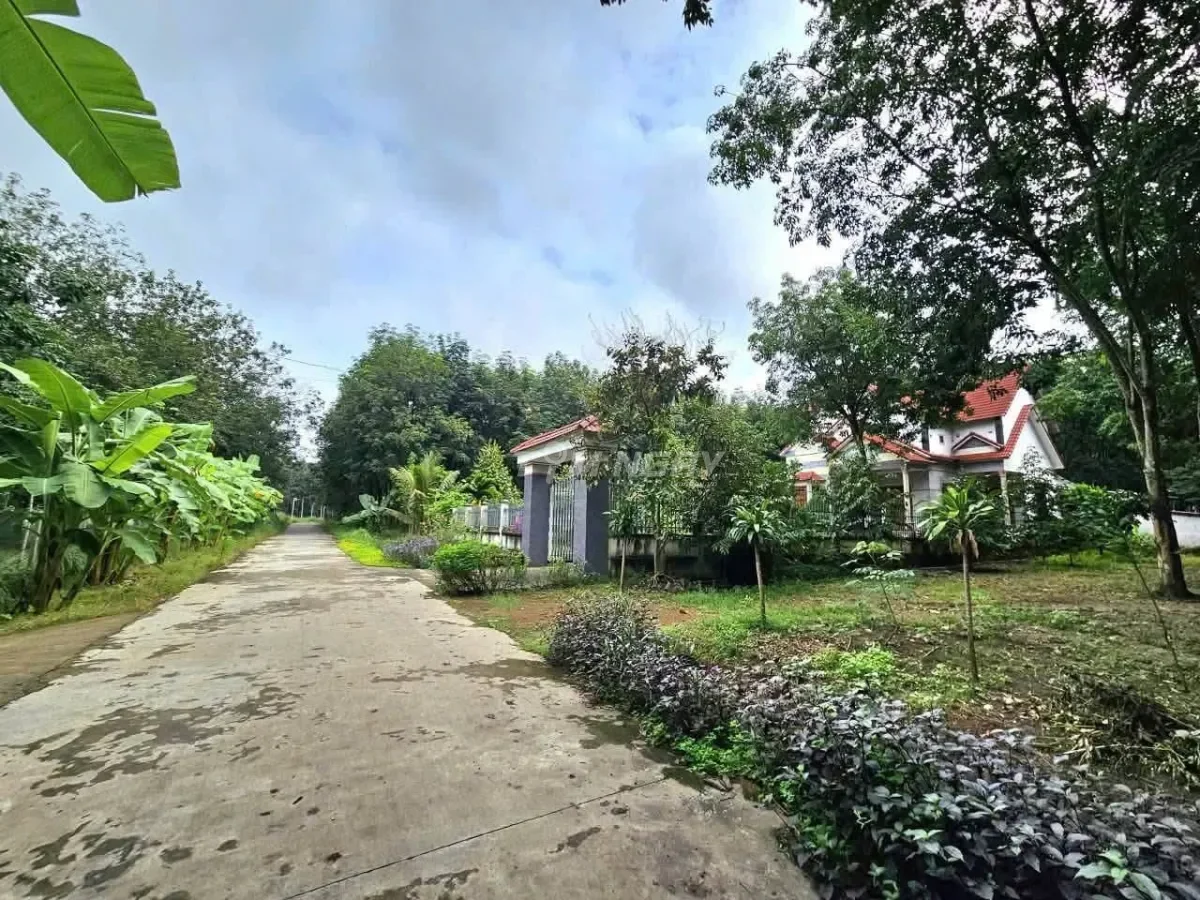 Bán đất vườn Bình Phước 1.500m2 gần KCN Becamex Chơn Thành