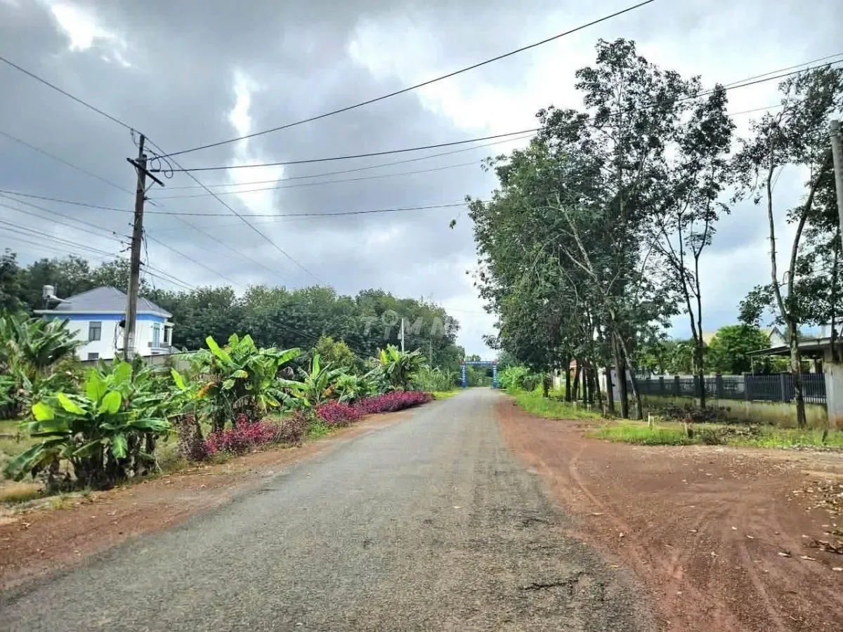 Bán 2 sổ đất khu dân đông, gần tiện ích giá rẻ