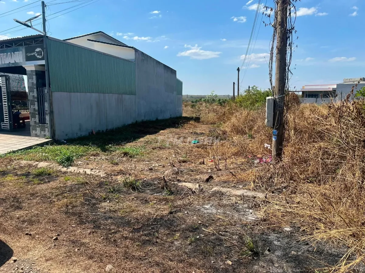 Cần bán gấp 1.600m2 sổ sẳn công chứng ngay khu dân đông