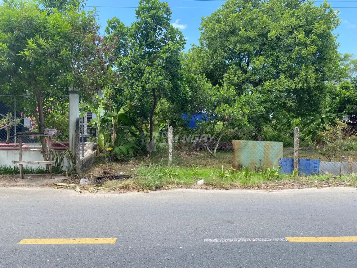 Đất vườn Bình Phước 1.800m2 giá mềm