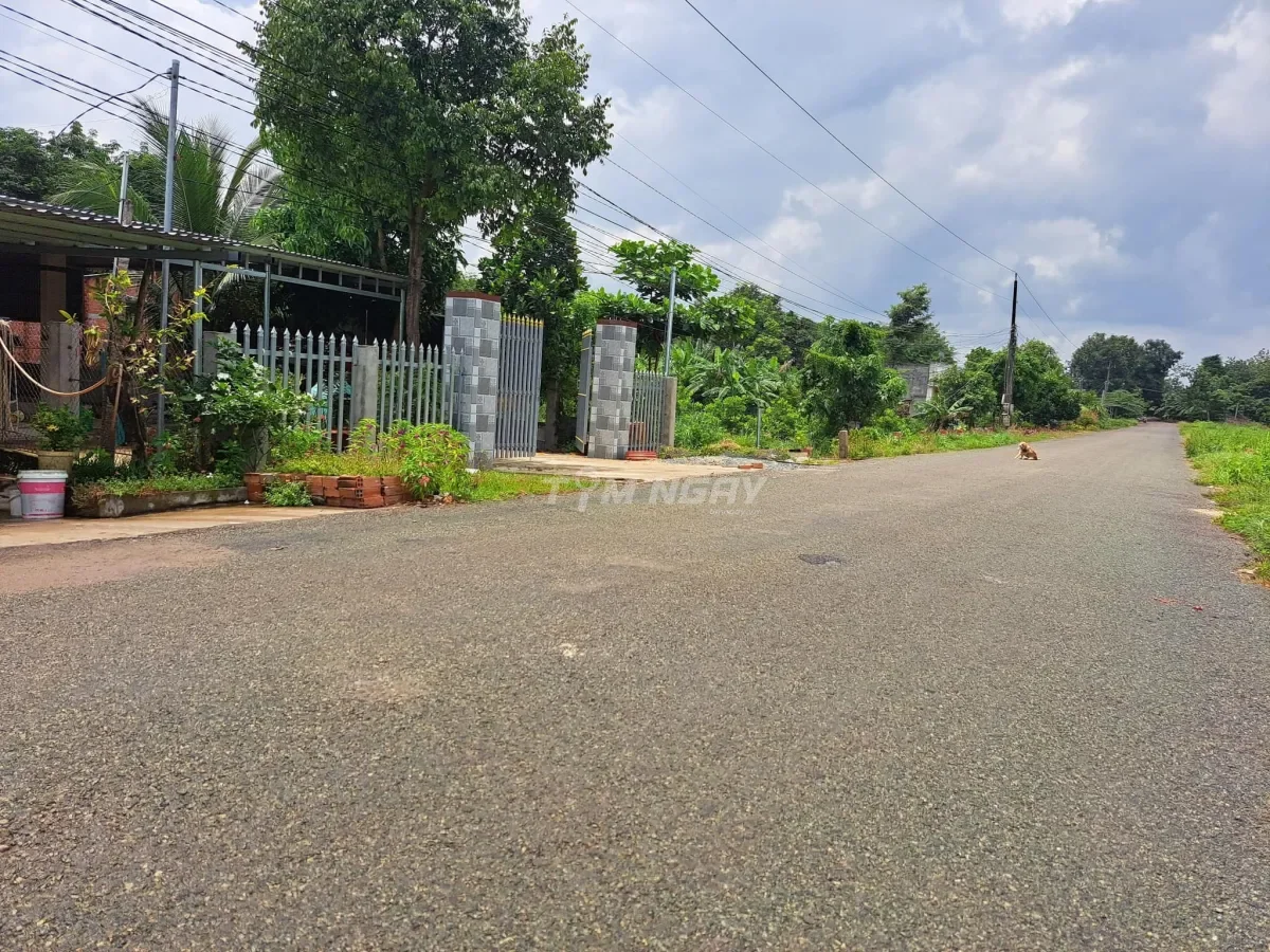 Bán Đất Bình Phước 1.200m2 gần khu công nghiệp, đường ô tô