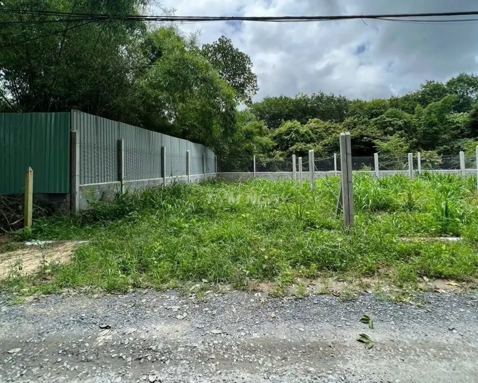 Bán Đất Bình Phước giá 205 triệu, diện tích 2.400m2